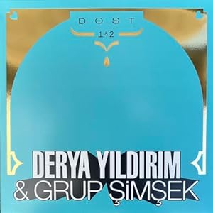 Dost 1 & 2 (2 vinyls) - Derya Yildirim & Grup Simsek | VinylStation Radio