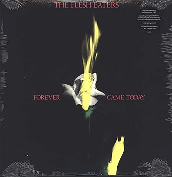 Forever Came Today - Flesh Eaters | VinylStation Radio