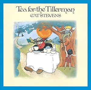 Tea for the Tillerman - Stevens Cat | VinylStation Radio