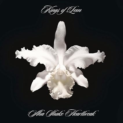 Aha Shake Heartbreak. - Kings Of Leon | VinylStation Radio