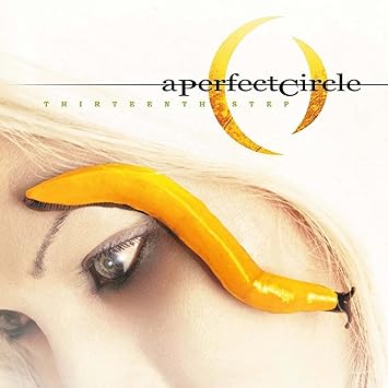 Thirteenth Step black - A Perfect Circle | VinylStation Radio