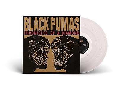 Chronicles of a Diamond - Black Pumas | VinylStation Radio