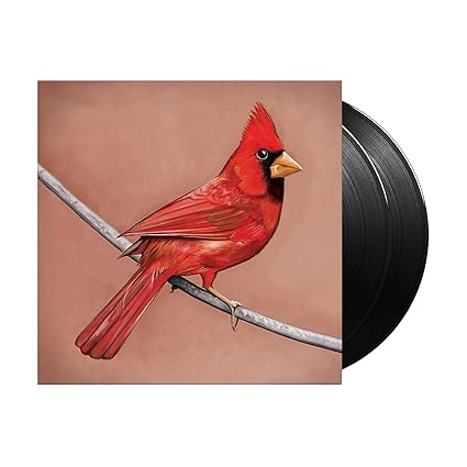 Old Crows/Young Cardinals - Alexisonfire | VinylStation Radio