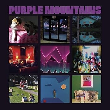 Self Titled - Purple Mountains | VinylStation Radio