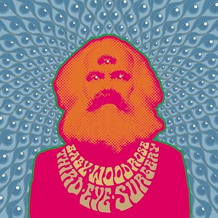 Third Eye Surgery - Baby Woodrose | VinylStation Radio