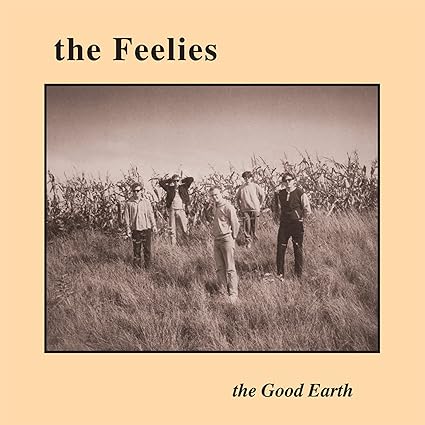 Good Earth - Feelies | VinylStation Radio