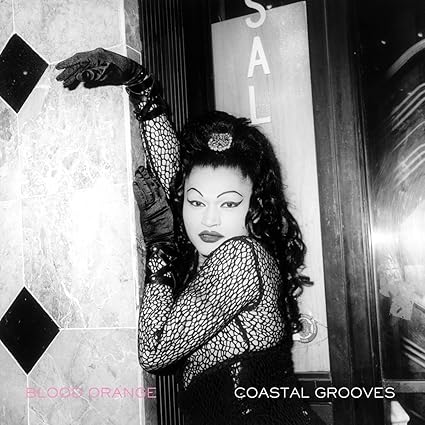 Coastal Grooves - Blood Orange | VinylStation Radio