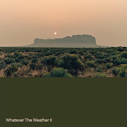 Whatever The Weather II - Vinyle Vert - Whatever The Weather | VinylStation Radio