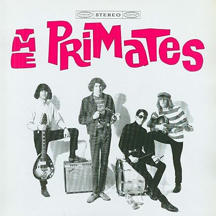 We Are The Primates - The Primates | VinylStation Radio