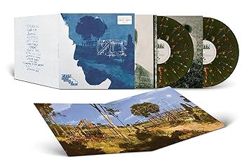 Room Under The Stairs (Edición limitada Color Verde Bosque) [2 LP] - ZAYN | VinylStation Radio