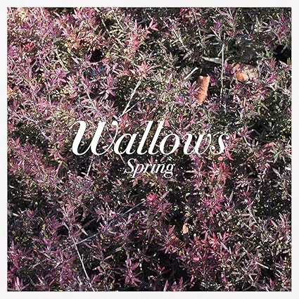 Spring EP(Pink & Green w/Digital Download) - Wallows | VinylStation Radio
