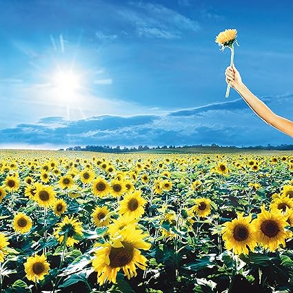 Stone Temple Pilots - Thank You - Stone Temple Pilots | VinylStation Radio