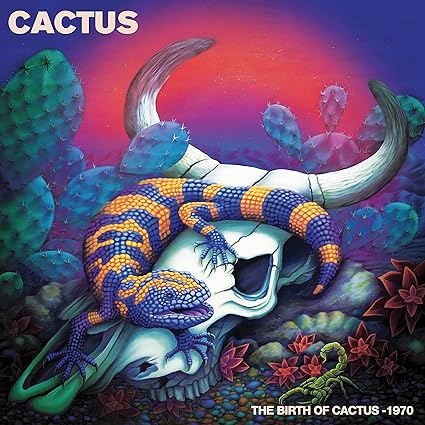 The Birth of Cactus - 1970 - Cactus | VinylStation Radio