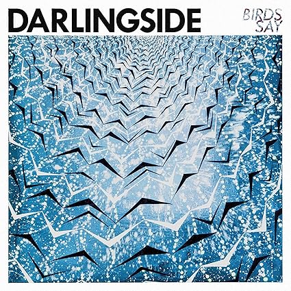 Birds Say - Darlingside | VinylStation Radio