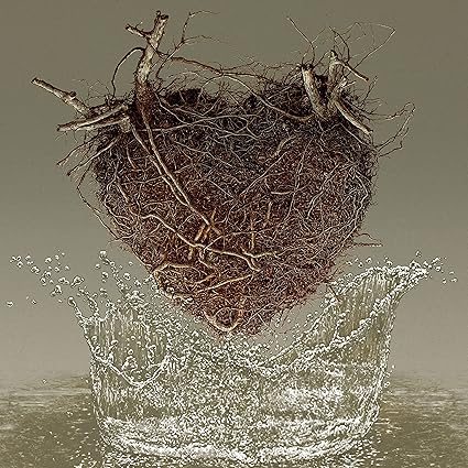 Las Canciones del Agua - Los Planetas | VinylStation Radio