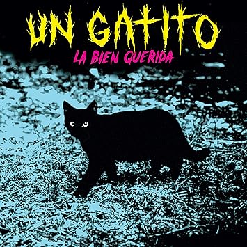 Un Gatito - La Bien Querida | VinylStation Radio