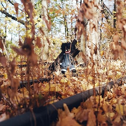 Golliwog - Billy Woodz | VinylStation Radio