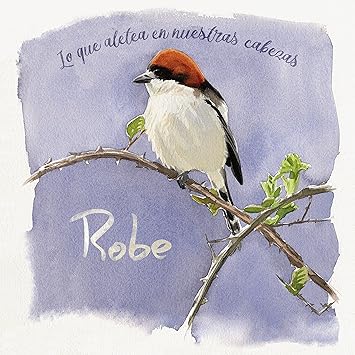 Lo Que Aletea En Nuestras Cabezas - Robe | VinylStation Radio